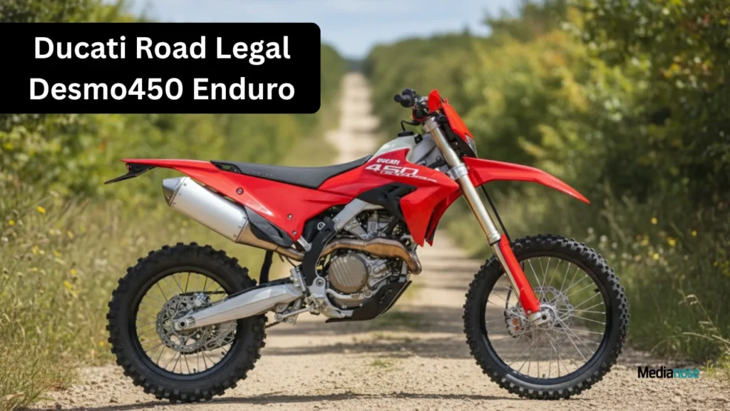 ducati-road-legal-desmo450-enduro-features-bike-18nov