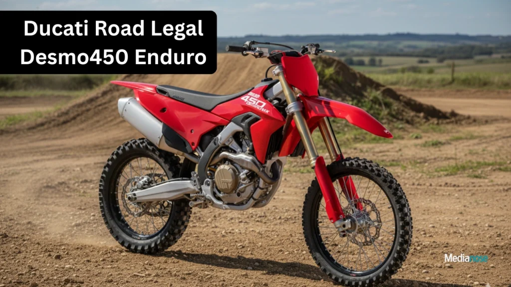 ducati-road-legal-desmo450-enduro-launch-bike-18nov