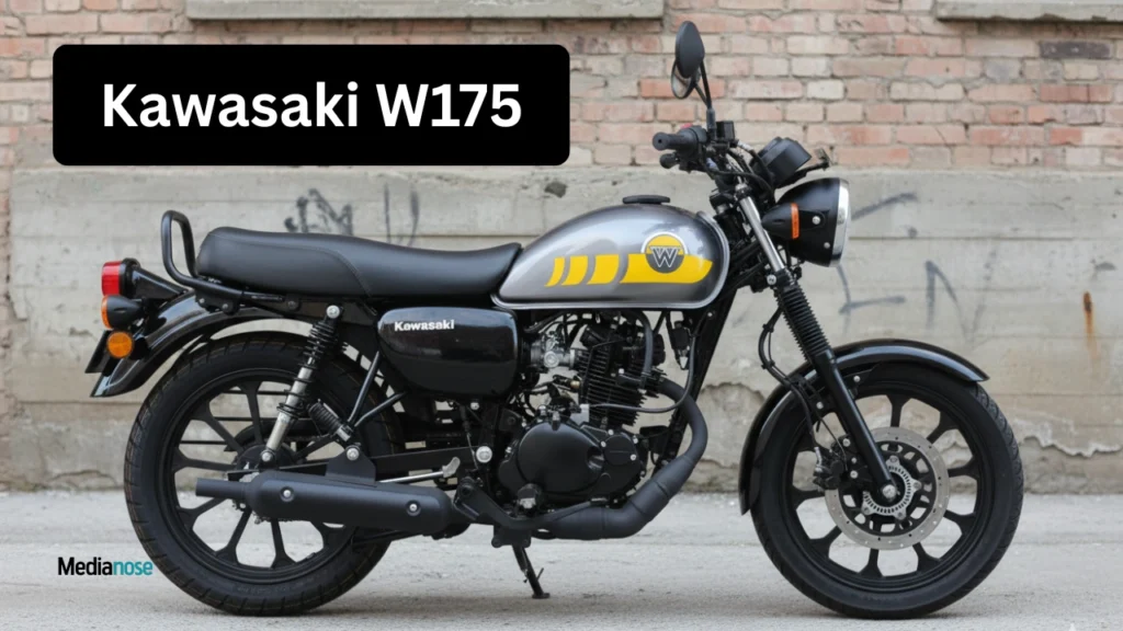 kawasaki-w175-engine-bike